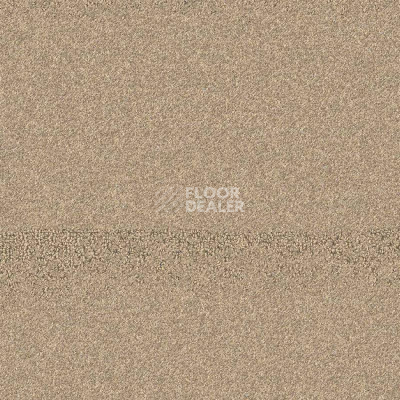 Ковролин Balsan Tanzanie 741 фото 1 | FLOORDEALER