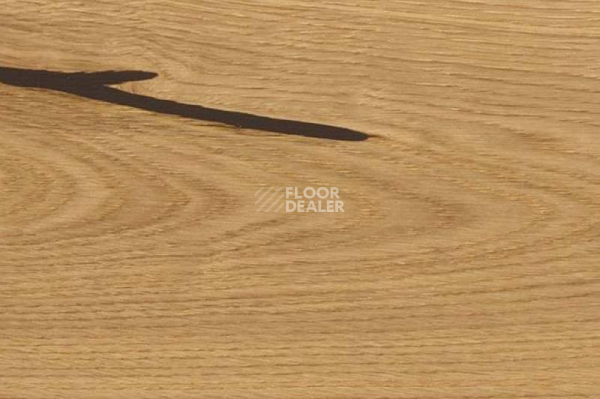 Пробковое покрытие Wood Xl Oak  Accent фото 1 | FLOORDEALER