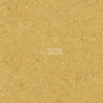 Линолеум Marmorette DLW  2mm 0072 Golden Yellow фото 1 | FLOORDEALER