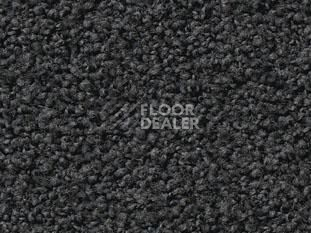 Ковролин Vorwerk Exclusive1009/Elara 9e05 фото 1 | FLOORDEALER