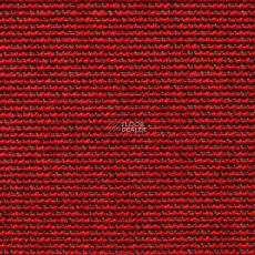 Carpet Concept Eco Iqu 10065 фото 1 | FLOORDEALER