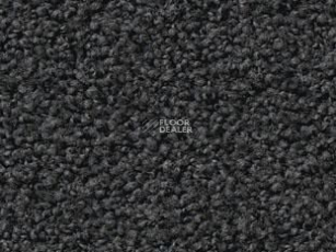Vorwerk Exclusive1009/Elara 9e05 фото 1 | FLOORDEALER
