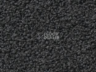 Ковролин Vorwerk Exclusive1009/Elara 9e05 фото 1 | FLOORDEALER