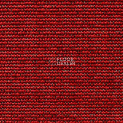 Ковролин Carpet Concept Eco Iqu 10065 фото 1 | FLOORDEALER