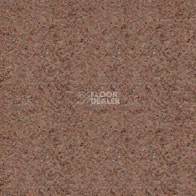 Линолеум Lg Delight DLT9104 фото 1 | FLOORDEALER