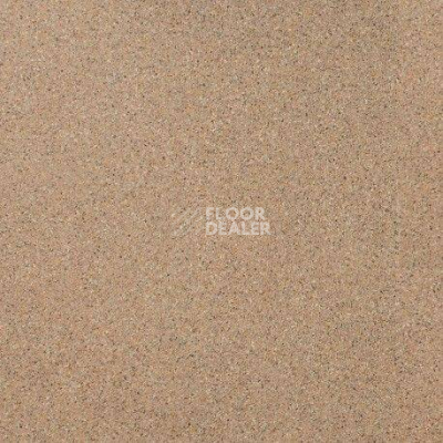 Линолеум Tarkett Force Gres 2 фото 1 | FLOORDEALER