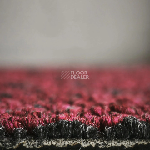 Bonkeel Sunrise Red фото 2 | FLOORDEALER