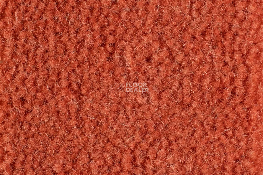 Balsan Majestic 547 фото 2 | FLOORDEALER