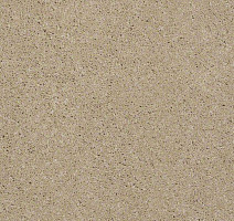 Ковролин Shaw Design Texture Platinum 110 фото 1 | FLOORDEALER