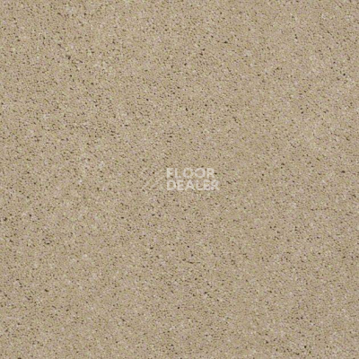 Ковролин Shaw Design Texture Platinum 110 фото 1 | FLOORDEALER