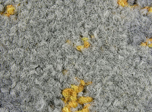 Ковровая плитка ColorKey ColorKey b 03 фото 1 | FLOORDEALER