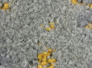 Ковровая плитка InnovFlor ColorKey ColorKey b 03 фото 1 | FLOORDEALER