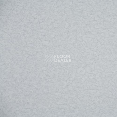 Линолеум Novoflor Extra Static Sd 2800-101 фото 1 | FLOORDEALER