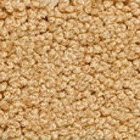 Ковролин Girloon Body1 871 фото 1 | FLOORDEALER