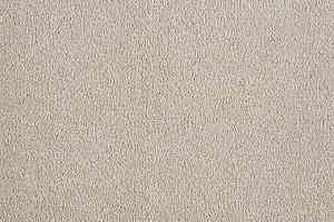 Ковролин Big Divine 314 фото  | FLOORDEALER