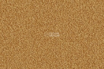 Ковролин Vorwerk Safira 2d80 фото 1 | FLOORDEALER