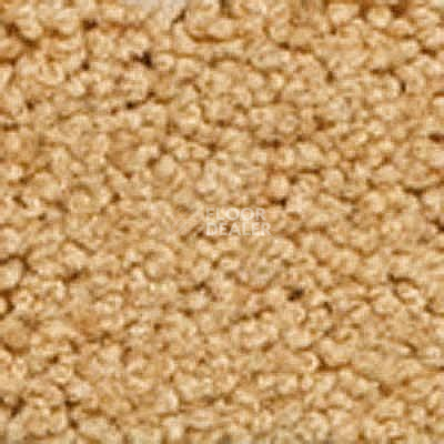 Ковролин Girloon Body1 871 фото 1 | FLOORDEALER