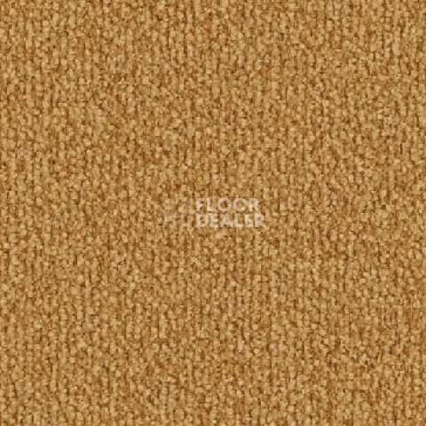 Ковролин Vorwerk Safira 2d80 фото 1 | FLOORDEALER