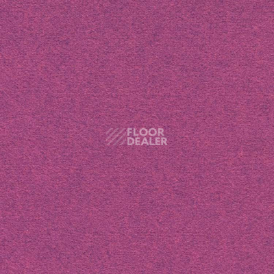 Ковролин Finett Feinwerk 753502 фото 1 | FLOORDEALER