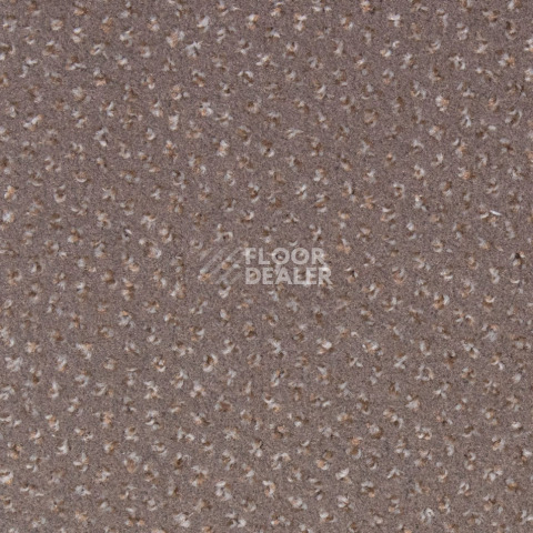 Ковролин Betap Pluto 67 фото 1 | FLOORDEALER