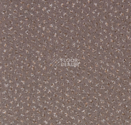 Ковролин Betap Pluto 67 фото 1 | FLOORDEALER