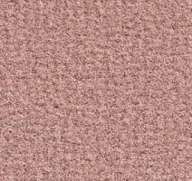 Ковролин Balsan Acadie DD Acadie 515 фото 1 | FLOORDEALER