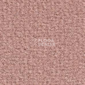Ковролин Balsan Acadie DD Acadie 515 фото 1 | FLOORDEALER