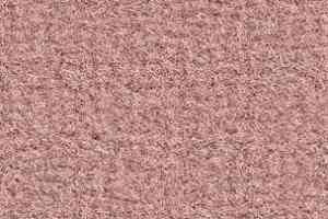 Ковролин Balsan Acadie DD Acadie 515 фото  | FLOORDEALER