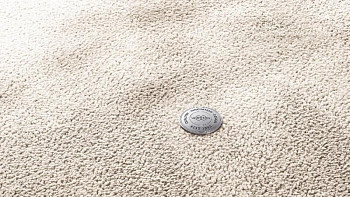 Ковролин Vorwerk Superior 1067 Mira Vorwerk 8k10 фото 1 | FLOORDEALER