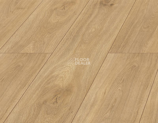 Ламинат Kronopol Platinium Terra AQUA BLOCK 8mm Kronopol Platinium Terra Aqua Block 24h Дуб ди Треви D4917 фото 5 | FLOORDEALER