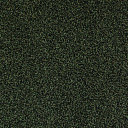 Ковровая плитка Desso Torso 7942  | FLOORDEALER