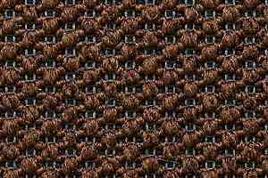 Ковролин Carpet Concept Eco Tre 68154 фото  | FLOORDEALER