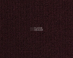 Ковролин Best Wool Hospitality 1 h 1450 - g 70001 фото 1 | FLOORDEALER