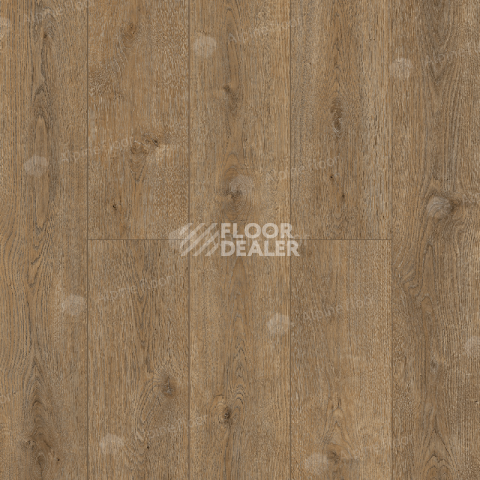 Кварцвиниловые полы Alpine Floor Solo Ларгетто ЕСО 14-3 фото 1 | FLOORDEALER