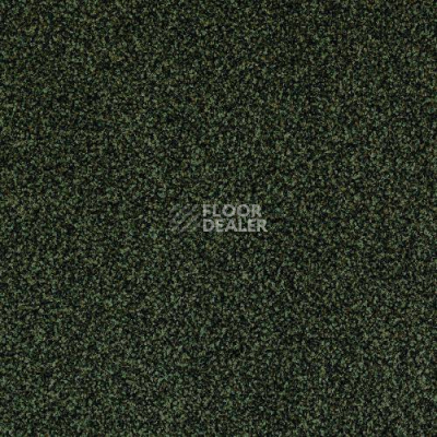 Ковровая плитка Desso Torso 7942 фото 1 | FLOORDEALER