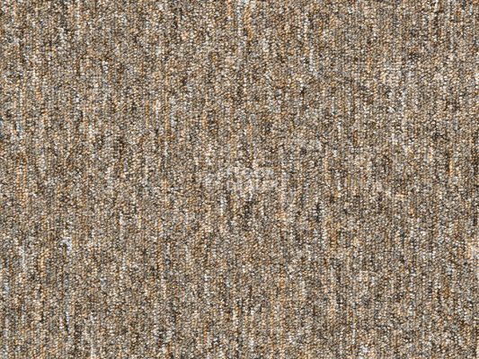 Ковролин Balta Rapid Rapid 835 фото 1 | FLOORDEALER