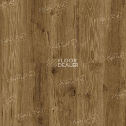 Ламинат Norland Elegant 8мм Дуб Корсика LF301-18 фото 1 | FLOORDEALER