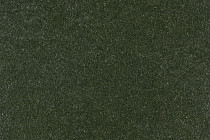 Линолеум Forbo Marmoleum Solid Walton 3359-335935 bottle green фото 1 | FLOORDEALER