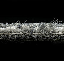 Rudiments Коллекция Clay Create Clay Create 955 фото 6 | FLOORDEALER