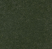Линолеум Forbo Marmoleum Solid Walton 3359-335935 bottle green фото 1 | FLOORDEALER