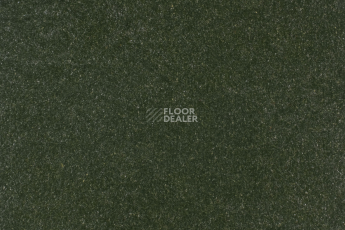 Forbo Marmoleum Solid Walton 3359-335935 bottle green фото 1 | FLOORDEALER