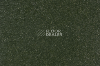 Линолеум Forbo Marmoleum Solid Walton 3359-335935 bottle green фото 1 | FLOORDEALER