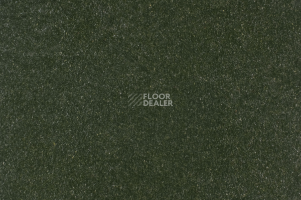 Линолеум Forbo Marmoleum Solid Walton 3359-335935 bottle green фото 1 | FLOORDEALER