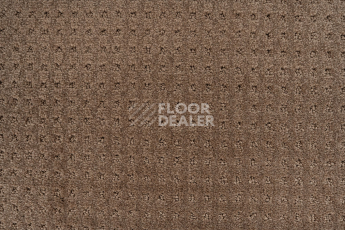 Balsan Territoires Atrium 661 фото 2 | FLOORDEALER