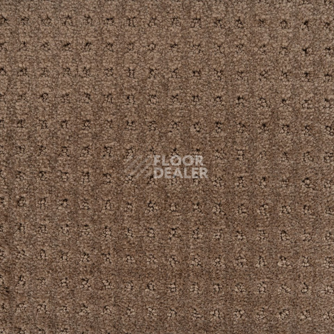 Balsan Territoires Atrium 661 фото 2 | FLOORDEALER
