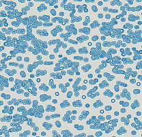 Ковролин Flotex Sottsass Bacteria 990202 фото 1 | FLOORDEALER