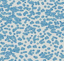 Ковролин Flotex Sottsass Bacteria 990202 фото 1 | FLOORDEALER