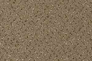 Ковролин Vorwerk Passion 1047 Vorwerk 7g50 фото  | FLOORDEALER