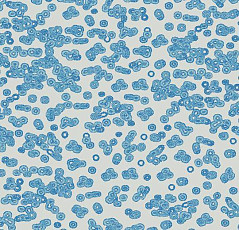 Ковролин Flotex Sottsass Bacteria 990202 фото 1 | FLOORDEALER