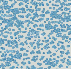 Ковролин Flotex Sottsass Bacteria 990202 фото 1 | FLOORDEALER